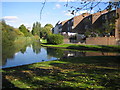 Thamesmead: The Harrow Canal