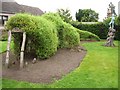 Crocodile hedge sculpture