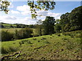 Field beside the Torridge