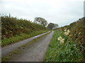 Deerpark Lane, near Lamphey