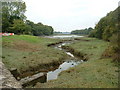 Cosheston Pill at low tide