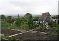 Allotments - Allerton Road