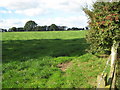 Field near Home Farm