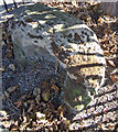 SE8912 : The Crosby Stone by David Wright