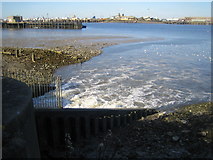 TQ4980 : River Thames: Crossness Sewage Treatment Works outfall by Nigel Cox