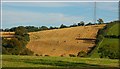 Fields near Tullylish