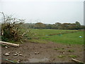 Farmland near Broadley