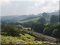 Esk Valley Line