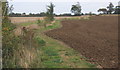 Footpath along field margin