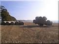 Barley straw bales at Under Boon