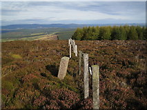 NO7288 : Boundary stone near summit of Shillofad by Nigel Corby