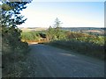 South edge of Crychan Forest