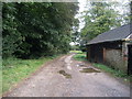 Ridgeway departing Wendover Woods