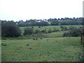 Farmland near Weston Lane Farm