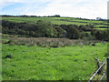 Looking down into a wooded valley