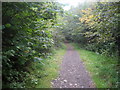 SP8906 : Ridgeway in Hale Wood by Chris Heaton