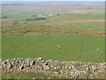 NY6766 : The view northwards from Walltown Crags by Mike Quinn