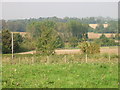 View across the fields, Hay Hill