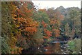 Autumn on the Bann