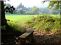 Footpath near Abinger Hammer