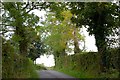 The Tullyglush Road near Dromore