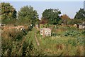 Allotments, Off Tuxford Road