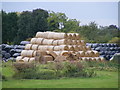 A Good Harvest at Manor Farm, Buckland