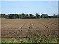 Ploughed field at Harlequin Farm