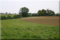 Footpath heading towards Albury Lodge