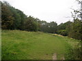 Ridgeway on Bacombe Hill