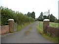 The lane to Llwyn Bustach