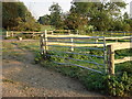 Cattle Pen in Sudbury Common Lands