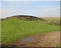 Silage clamp, Barnglieshead