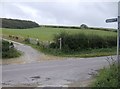 Bridleway to Brighstone Forest