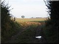 Field north west of Norton in Hales