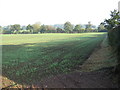 Farmland near Betton