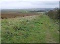 View from Wellow Down