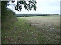 Footpath from Wellow to Luckett