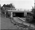 Parley Drive Bridge, Basingstoke Canal