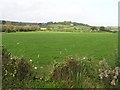 Drumglass Townland