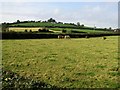 Timaconway Townland