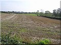 Ballynian Townland