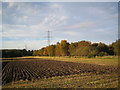 Field near Dowalty