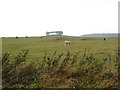 Field of cows, looking toward Blairshinnoch Hill