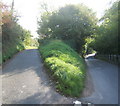 Acute lane junction just north of Coddenham