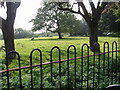 Small paddock on Felderland Lane