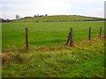 Towards Boley Hill