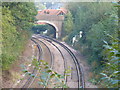 Railway Line West of Bookham