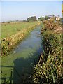 Ditch on the W edge of the A258