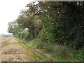 Footpath near Burgh Heath